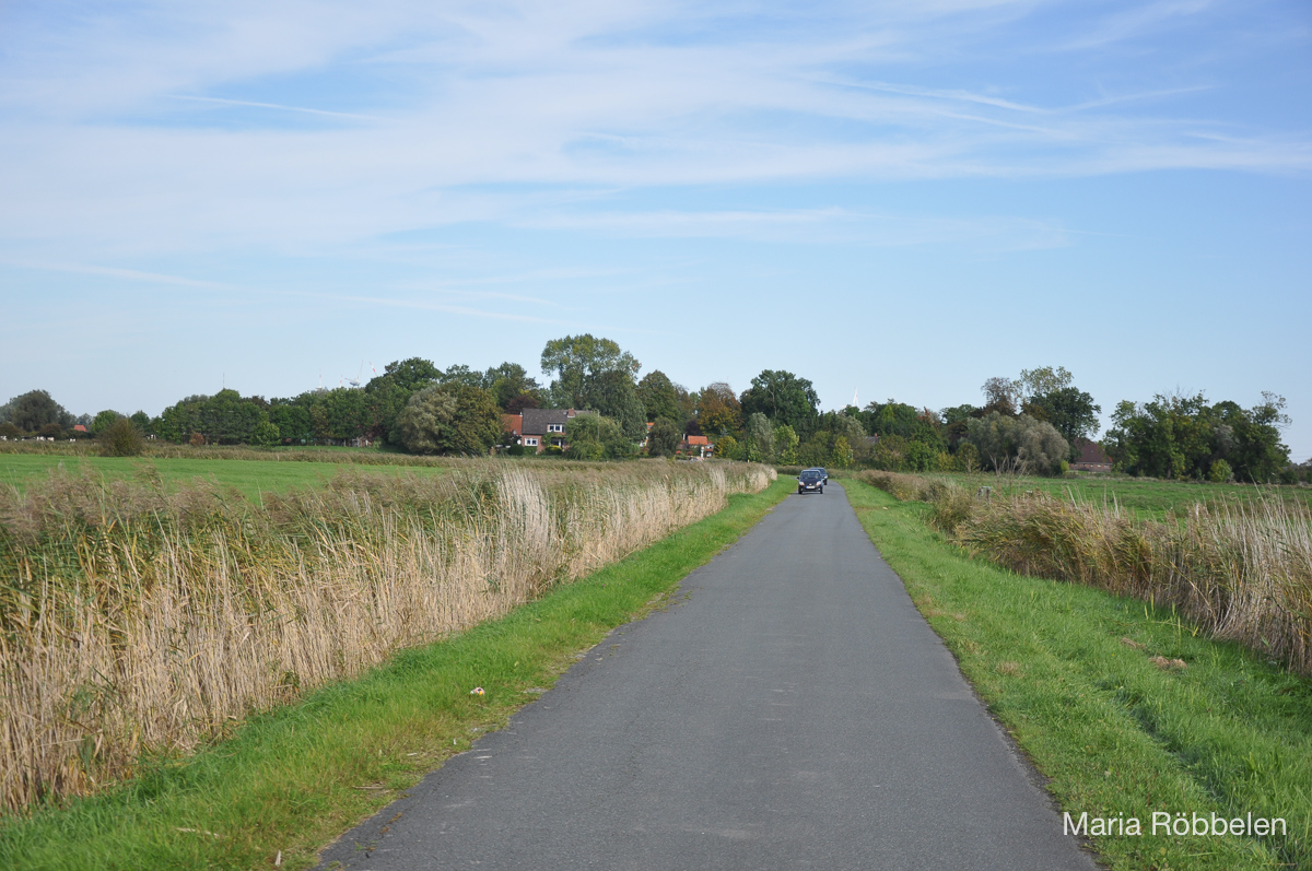 Breddewarden_2010 09 30_2764