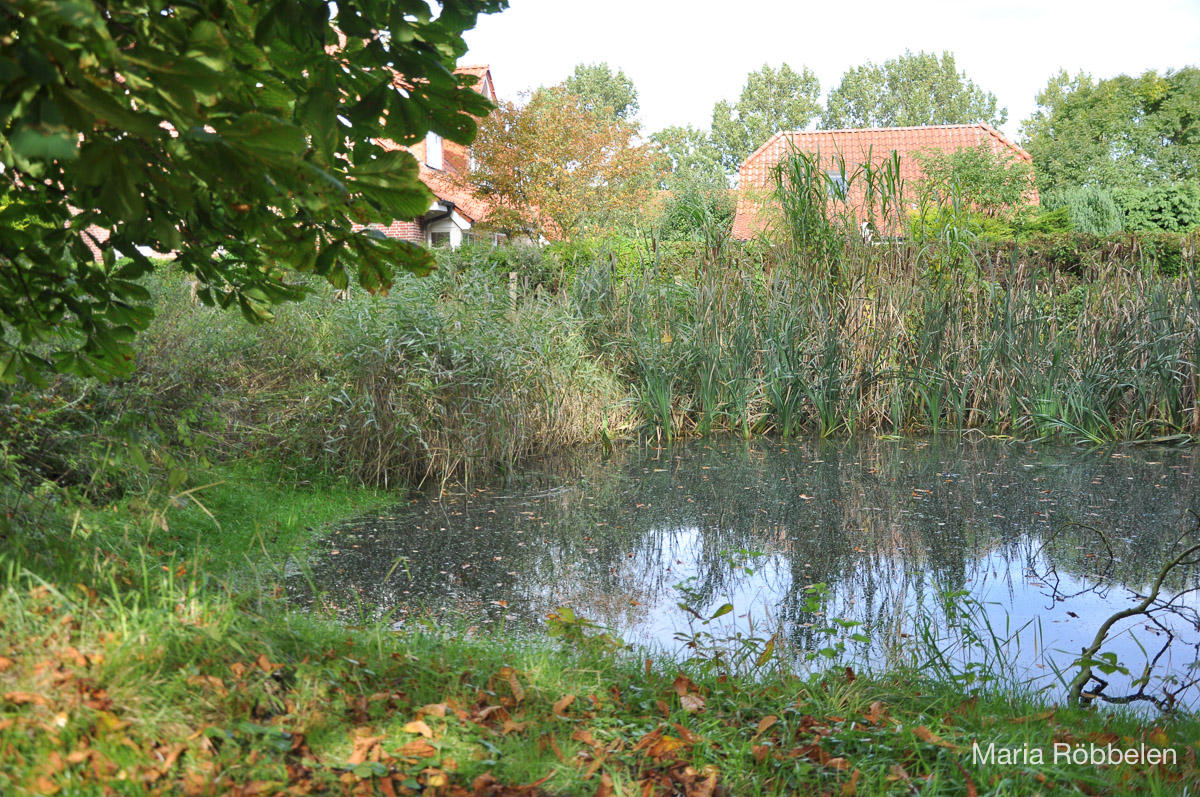 Breddewarden_2010 09 30_2765