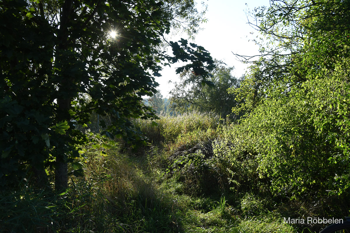 Breddewarden_2025 10 01_7556