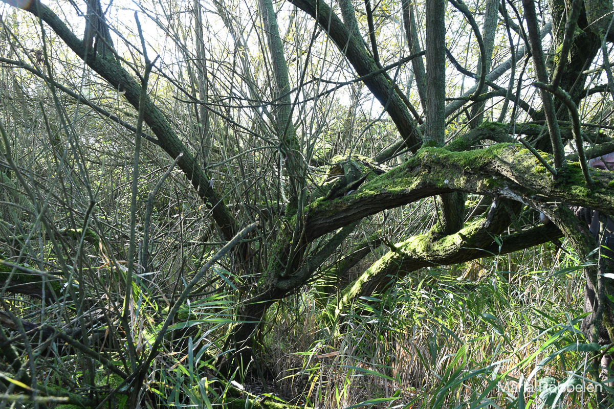 Breddewarden_2025 10 01_7584