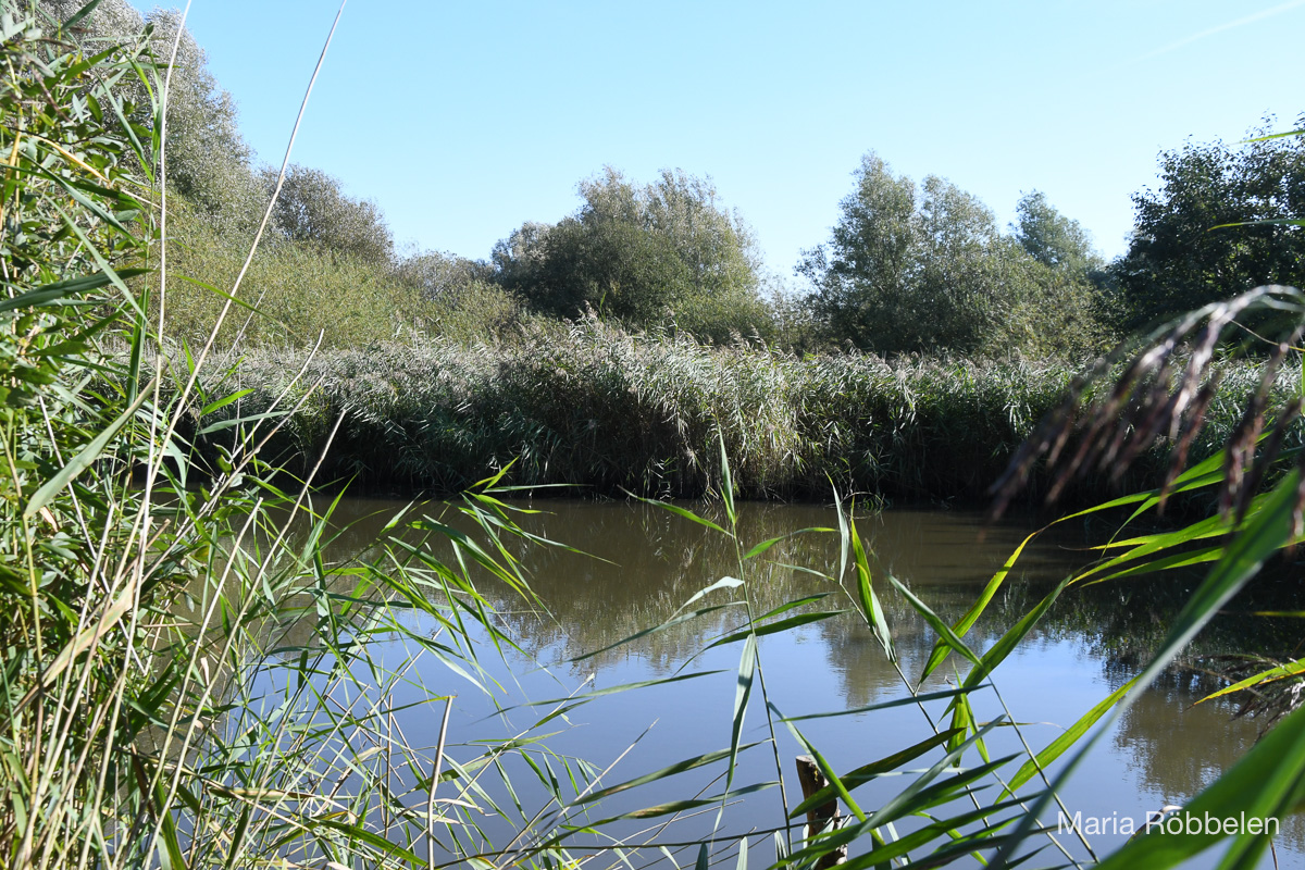 Breddewarden_2025 10 01_7601